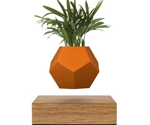 Lyfe_skin_terracota_480x480