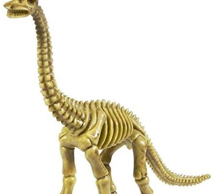 dinosaur skeleton 4