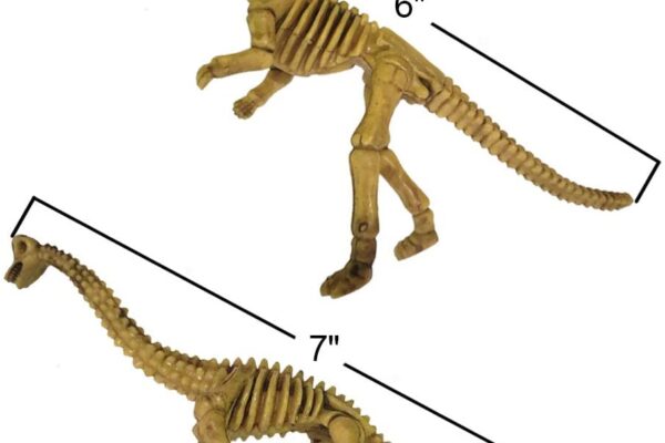 dinosaur skeleton 7