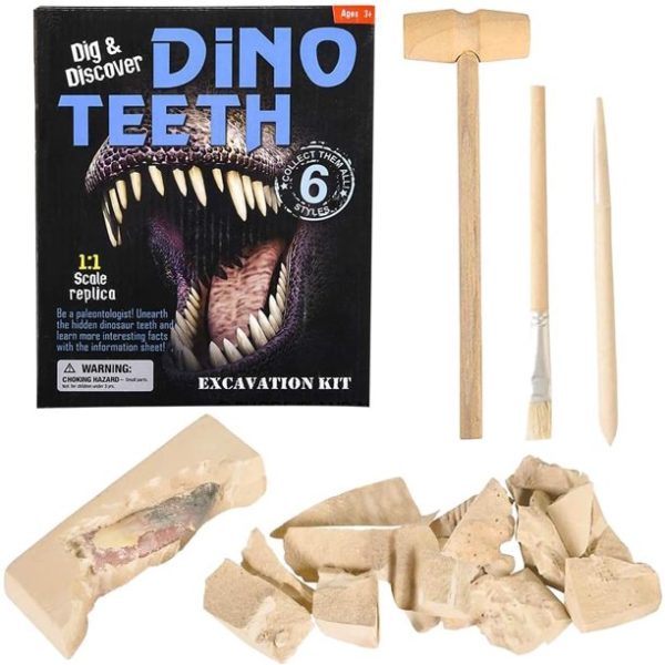 teeth-kit-2