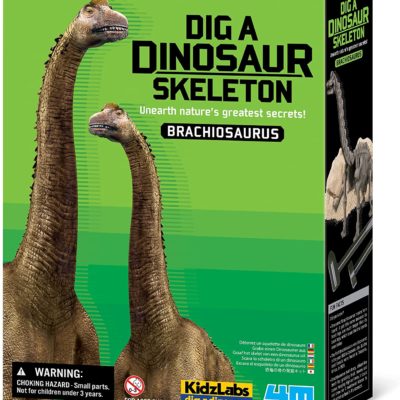 dig-a-dino-series-II