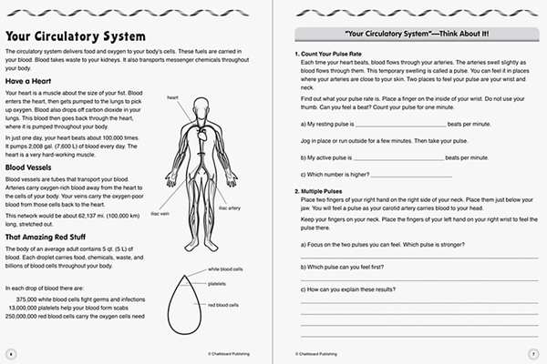 stem workbook grade 5b