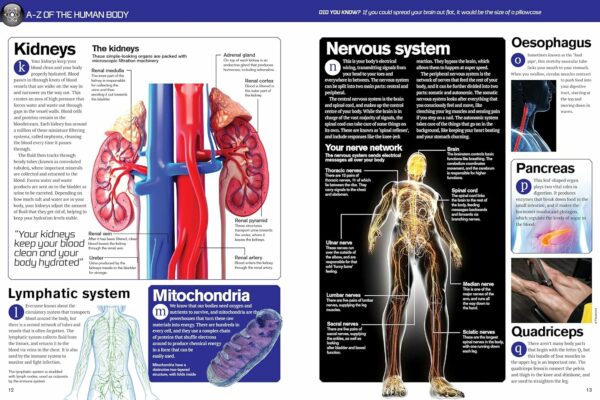 human body book 3