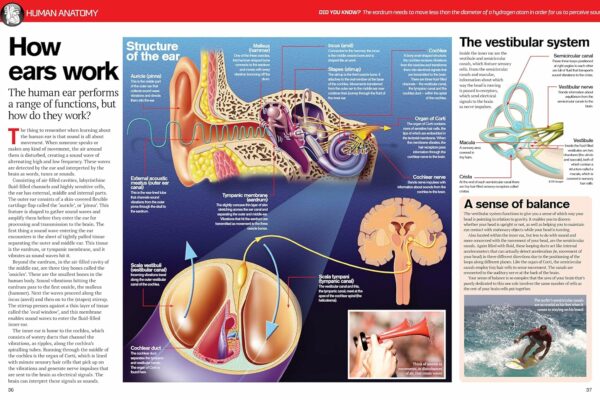 human body book 6